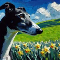 BlackWhiteGreyhoundDaffodils