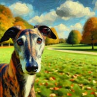 BrindleGreyhoundAutumn2