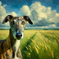 BrindleGreyhoundGreenGrass