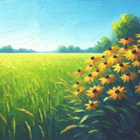 BlackeyedSusans2